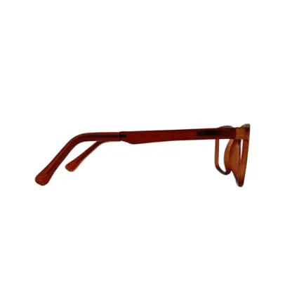 eBasic Coffee Brown Eyeglass (ER-EG-TR-RE-FR-M-CZ-17/Medium) - Image 2